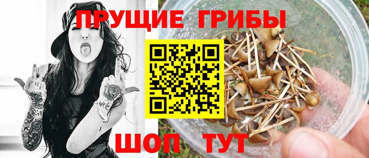 Псилоцибиновые грибы Magic Shrooms  Вход с VPN  Кандалакша 